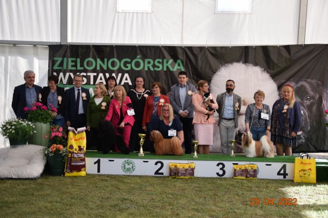 psydz1 128